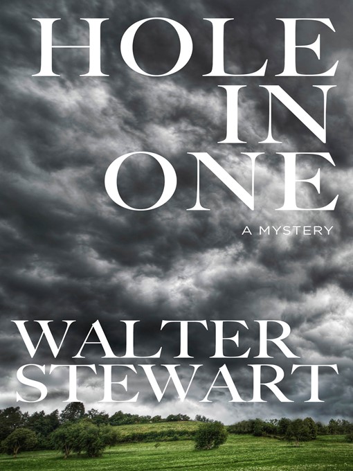 Title details for Hole in One by Walter Stewart - Available